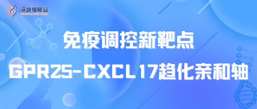 文献分享|免疫调控新靶点：GPR25-CXCL17趋化亲和轴