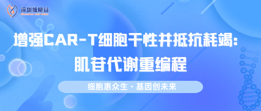 文献分享|增强CAR-T细胞干性并抵抗耗竭：肌苷代谢重编程